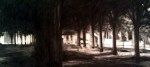 Robert Reeves, Absentia, charcoal on paper, 36x72, 2011